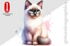 Tonkinese Cat Clipart - PNG File Product Image 1
