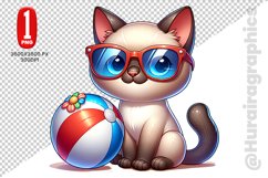 Tonkinese Cat Clipart - PNG File Product Image 1