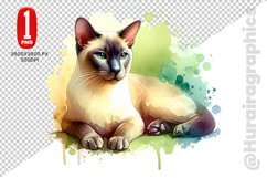 Tonkinese Cat Clipart - PNG File Product Image 1