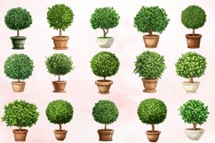 Watercolor Topiary in Pot Clipart Bundle Product Image 3
