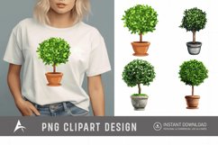 Watercolor Topiary in Pot Clipart Product Image 1