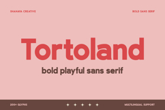 Tortoland Bold Playful Sans Serif Product Image 1