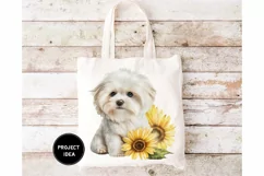 Maltese watercolor puppy sunflower sublimation, puppy png Product Image 2
