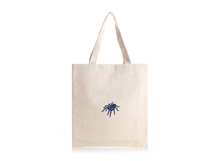 Electric Blue Earth Tiger Tarantula Product Image 9