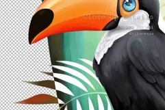 Toucan bird PNG | cartoon sublimation design Product Image 2
