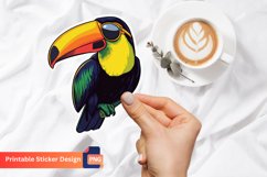 Toucan with Sunglasses Sticker, Tropical Bird Vinyl Sticker Product Image 1
