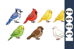 Colorful small birds collection with blue jay cardinal canar Product Image 1