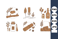 Natural cinnamon stick and spice vector set with brown tones Product Image 1