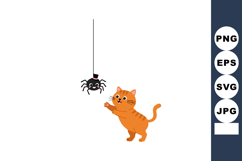 Playful orange cat reaching out to hanging black spider vect Product Image 1