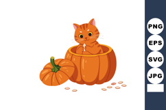 Cat sitting inside large orange pumpkin with removed lid and Product Image 1