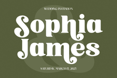 Trade Signal - Modern Bold Serif Font Product Image 7