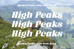 Trade Signal - Modern Bold Serif Font Product Image 13