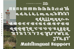 Trade Signal - Modern Bold Serif Font Product Image 19