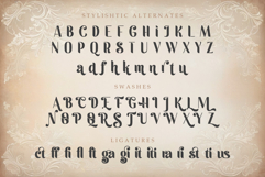 Tradition | A Classic Display Sans Serif Font Product Image 13