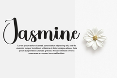 Trainer Fantasy Product Image 2