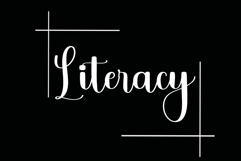 Trainer Fantasy Product Image 4