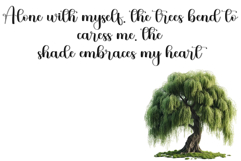 Trainer Fantasy Product Image 7