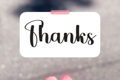 Trainer Fantasy Product Image 8