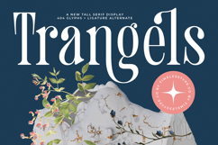 Trangels - New Tall Serif Display Product Image 1