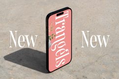 Trangels - New Tall Serif Display Product Image 4