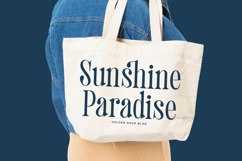 Trangels - New Tall Serif Display Product Image 11