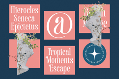 Trangels - New Tall Serif Display Product Image 13