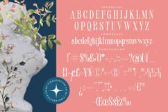 Trangels - New Tall Serif Display Product Image 18