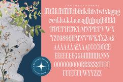 Trangels - New Tall Serif Display Product Image 19