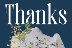 Trangels - New Tall Serif Display Product Image 20