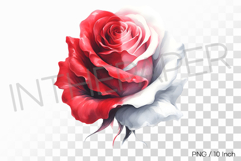 Watercolor white rose being painted with red paint PNG art Product Image 1