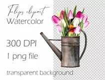 Watercolor tulip clipart in watering can. Spring flowers PNG Product Image 4