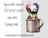 Spring flowers clipart. Hyacinth PNG Product Image 2