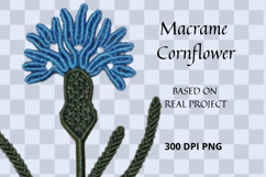Macrame Cornflower PNG Botanical Clipart Product Image 3