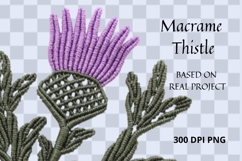 Macrame Thistle PNG Botanical Clipart Product Image 3