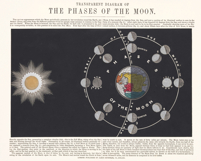 12 Vintage Astronomy Diagrams Astrological Image Bundle Product Image 3
