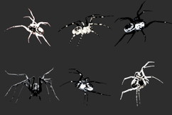 18 Transparent Spider Arachnid Overlay Horror Halloween PNG Product Image 4
