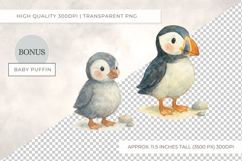 Watercolour Puffin Clipart Artic Bird Clip Art PNG Product Image 2