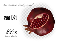 Hand Painted Pomegranate Botanical Clipart Set PNG Product Image 4