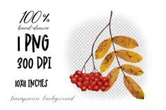 Hand-drawn Rowan Branch with Yellow Leaves Illustration Product Image 2