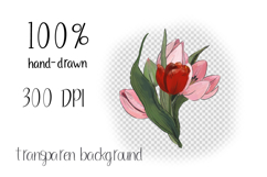 Hand Painted Tulip Flower PNG Clipart | Sublimation Design Product Image 3