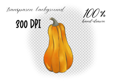 Hand Drawn Pumpkin PNG Clipart | Fall Illustration Product Image 2