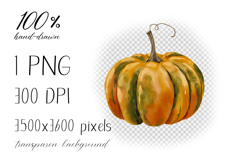 Hand Painted Watercolor Pumpkin Clipart PNG Product Image 2