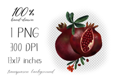 Hand drawn pomegranate illustration png Product Image 2