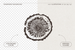 Tree Rings Wood Sketches Product Image 2