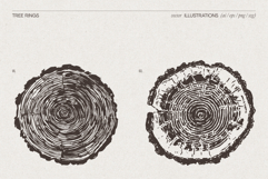 Tree Rings Wood Sketches Product Image 3