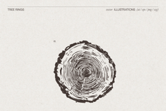Tree Rings Wood Sketches Product Image 4