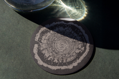 Tree Rings Wood Sketches Product Image 5