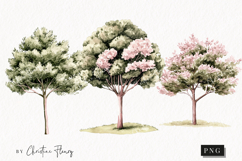 Watercolor Trees | Camping PNG Product Image 1