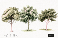 Watercolor Trees | Camping PNG Product Image 1