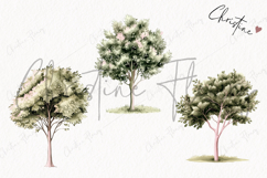Watercolor Trees | Camping PNG Product Image 3